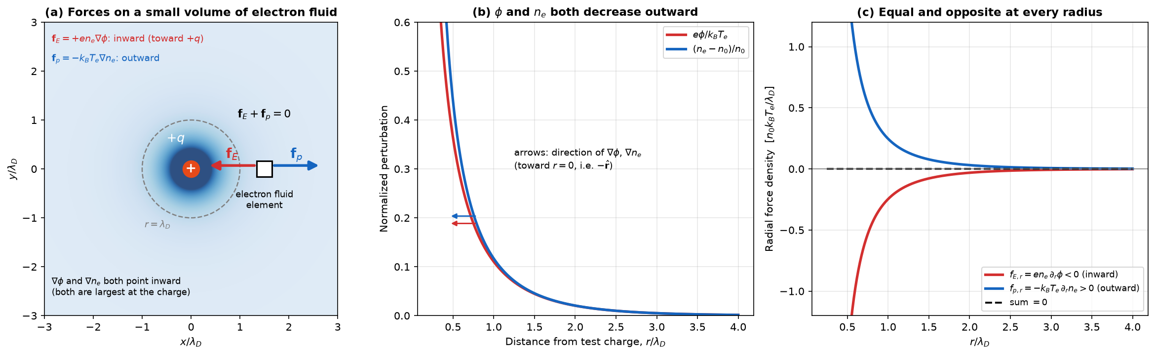 Force balance on the electron fluid: inward electrostatic force density and outward pressure-gradient force density around a positive test charge